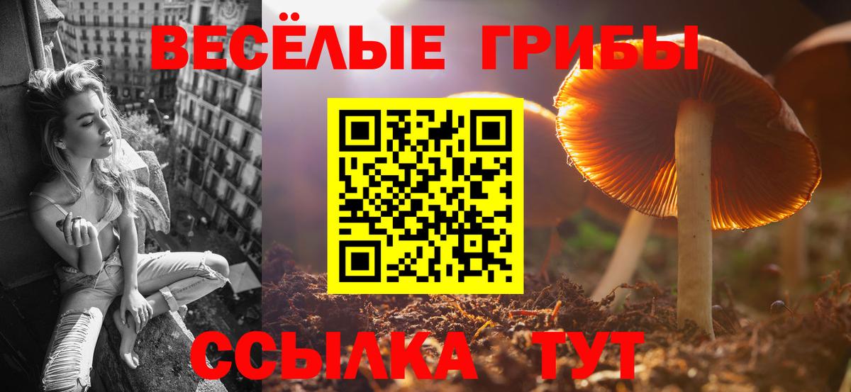 Галлюциногенные грибы Psilocybine cubensis  Вход с VPN  Галлюциногенные грибы MAGIC MUSHROOMS  Камышин 