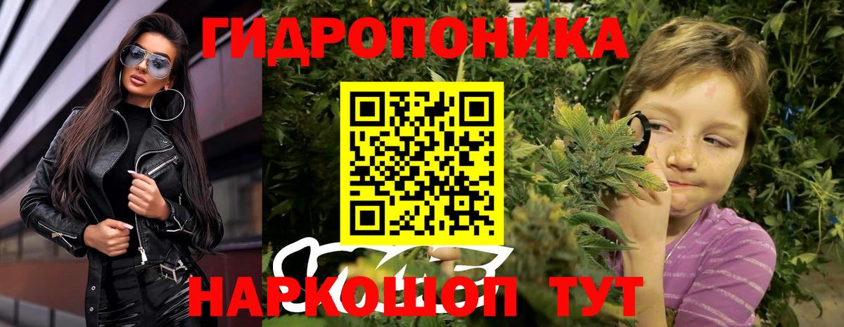 Бошки Шишки планчик Камышин