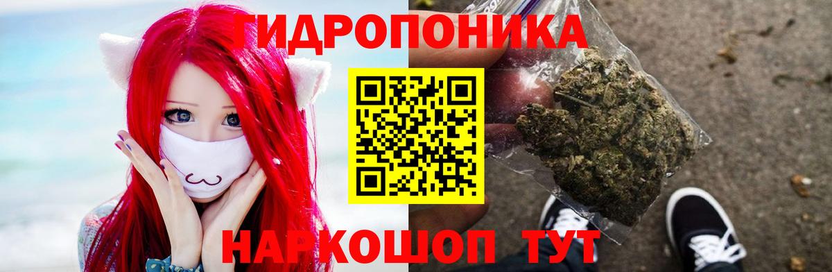 Камышин  МАРИХУАНА MAZAR  МАРИХУАНА семена  Марихуана план  Вход с VPN 